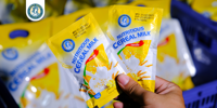 Vanilla Nutritious Slim Cereal Milk Power 25g Sachet Milk Flavored Instant Cereal for Nutrition Breakfast Free Sample