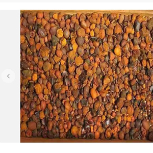 Cálculos biliares de buey de vaca seca de calidad/cálculos biliares de ganado - Product Image 1
