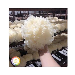 Champignons de neige asiatiques nutritifs, champignons de neige instantanés pour la cuisine, soupe, champignons Tremella de qualité supérieure, vente chaude 2026 - Product Image 2