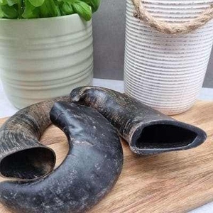 Masticables de cuerno de búfalo Premium para perros: duraderos y ricos en nutrientes, cuerno de corte crudo de búfalo saludable para masticar perros, saludable para perros - Product Image 3