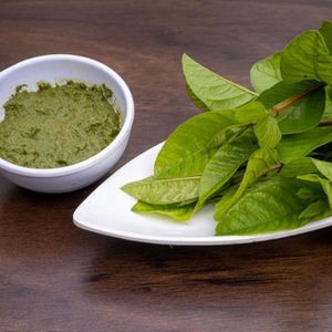 Ấn độ xuất khẩu cung cấp tốt nhất bán thực phẩm lớp ổi lá bột 100% tinh khiết tốt nhất Màu xanh lá cây màu ổi lá bột trong chai đóng gói - Product Image 1