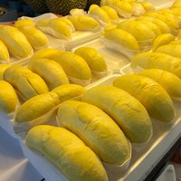Vers gesneden biologische durian uit Thailand, authentieke Monthong kwaliteit, kant-en-klaar, zoet, romig, verpakt, 0,5 kg, 2-3 weken houdbaarheid