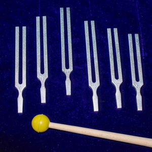 Diapasones de Meridianos de Alta Calidad, 14 Piezas, para Terapia de Sanación por Sonido, con Doble Mazo y Bolsa de Terciopelo - Product Image 1