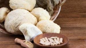 Hongo Melena de León Orgánico Seco, Hericium Erinaceus, Venta al por Mayor a Granel, Ms. Sophie - Product Image 5