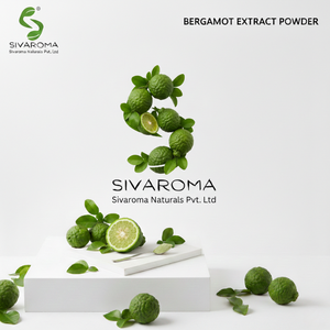 Polvo de Extracto de Bergamota Cítrica B2B para Suministro a Granel a Marcas de Alimentos, Bebidas y Bienestar - Product Image 5