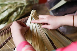 Sombrero Cónico Vietnamita Tradicional Non La, Diseño Artesanal Icónico para Protección Solar y Encanto Cultural - Product Image 4