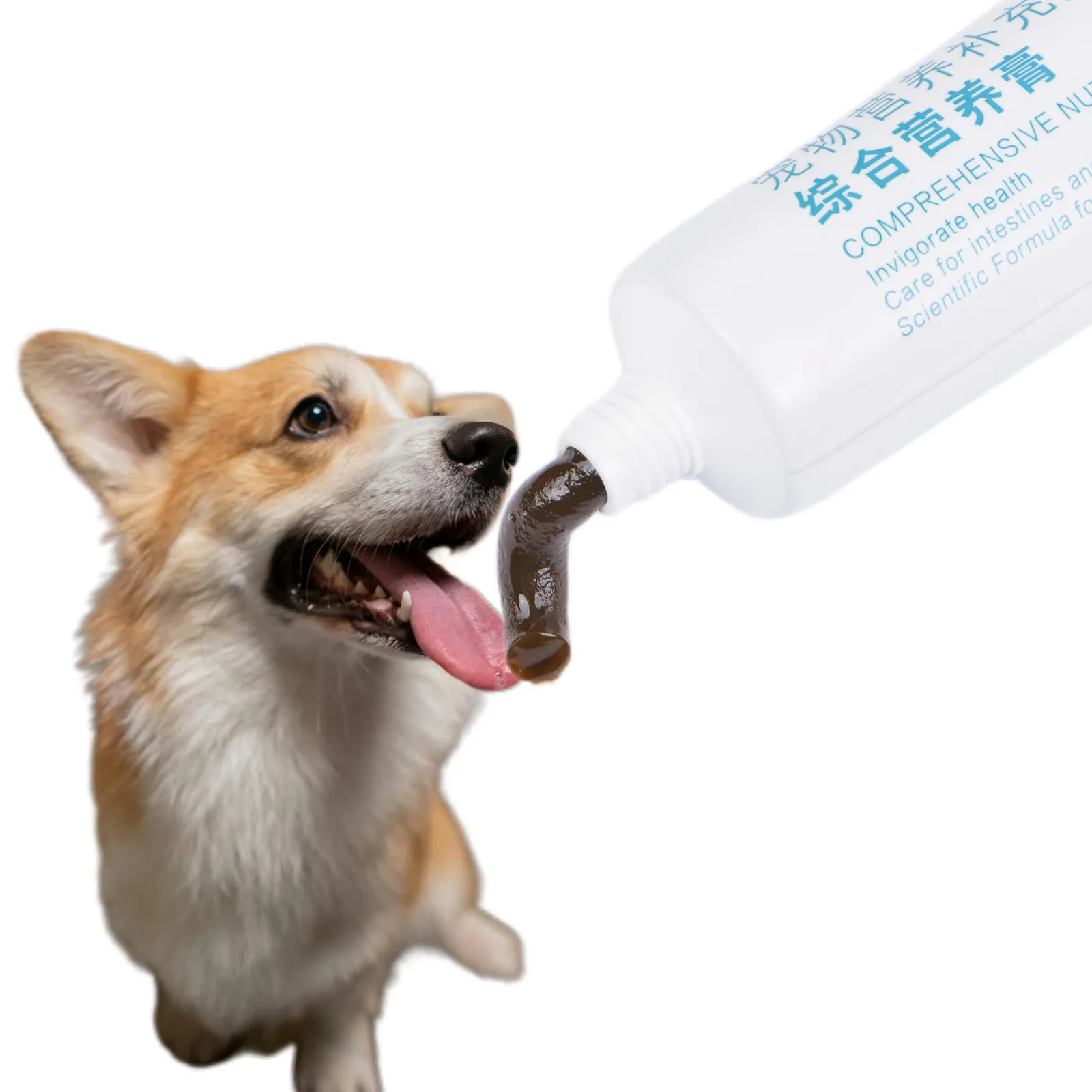 Customize Pet Gel Supplement Multivitamin Paste Gel Supplements for Dog Pet Nutrition Paste