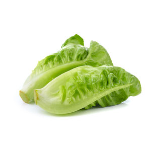 Fournisseur en vrac de laitues et légumes: feuilles, tiges et graines pour salades, soupes, sandwichs, wraps et grillades - Product Image 1