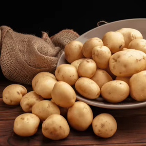 Patatas Frescas Orgánicas (Solanum Tuberosum) Blancas y Rojas Alargadas, de Alta Calidad y Alto Valor Nutricional, Sin OMG, en Venta - Product Image 1