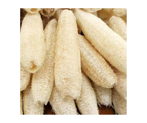 Rouleau de loofah de nettoyage premium du Vietnam, directement de l'usine - Rouleau de loofah de nettoyage flexible sur mesure pour traitement en vrac - Product Image 3