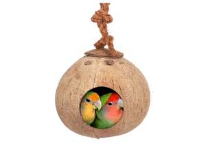 Top One Tendance 2025 Maison d'oiseau en coquille de noix de coco faite à la main/Noix de coco pour maison d'oiseau avec logo laser personnalisé au Vietnam - Product Image 2