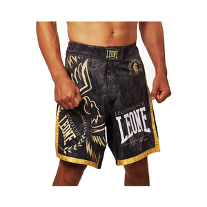 Shorts de Muay Thai pour hommes, conçus par Blue Eagle Sports Manufacturer, imprimés par transfert thermique, confortables, 100% arts martiaux - Product Image 3