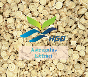 Hgo สารสกัดจาก Astragalus ธรรมชาติบริสุทธิ์ (เกรดอาหารเพื่อสุขภาพ) ข้อมูลจำเพาะ5:1 10:1 (สารสกัดอัตราส่วน) - Product Image 4