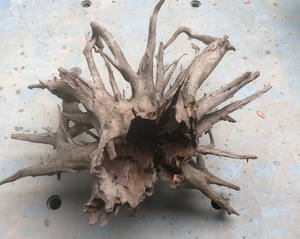 Aquarium <b>Driftwood</b> <b>Sale</b> - Product Image 5