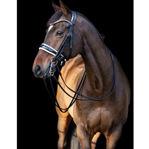 Brida snaffle - Product Image 1