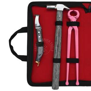 Juego Completo de Herramientas de Herrador Rosadas, Cortaúñas para Cascos, Herramienta para Quitar Herraduras, Pinza para Clavos, Cuchillo de Bucle, Pulidor, Martillo para Caballos - Product Image 3
