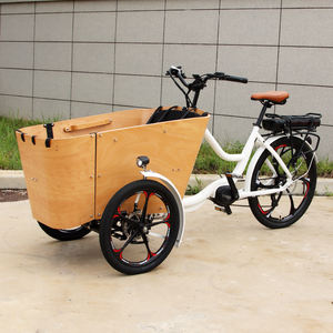 Nouveau style de vélo électrique à trois roues avec moteur Bafang, vélo cargo électrique familial, acier, 48V, 7 vitesses, moyeu arrière, <span class=keywords><strong>porte</strong></span>-bagages arrière - Product Image 3