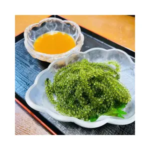 Fresh sea grapes salted sea grapes Certified Organic Sea Grape Seaweed - Superior Quality discount for first order