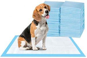 Tapis d'apprentissage jetables super absorbants en charbon de bois pour chiots et animaux de compagnie - Product Image 4