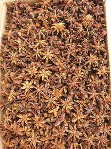 โป๊ยกั๊กสมุนไพรเดี่ยวและเครื่องเทศแปรรูป10กก. ได้รับการรับรอง2025โฆษณาพืชแห้งจากเวียดนาม - Product Image 3