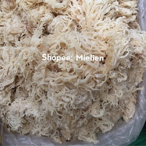 อบแห้ง EUCHEUMA COTTONII สาหร่าย/มอสไอริช/SEAMOSS จากเวียดนาม - Product Image 5