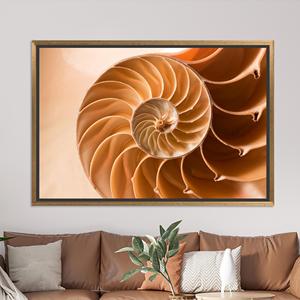Impression sur toile spirale coquille de nautilus à rapport d'or, art naturel zen, toile encadrée dorée - Product Image 1