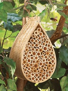 Tubes en bambou MEILLEUR VENDEUR pour insectes, idéaux pour les hôtels d'abeilles, la formation agricole et les produits d'exportation écologique au Vietnam - Product Image 5