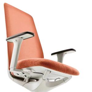 Silla de oficina de malla 3D ajustable Reposabrazos de acero inoxidable Synergy 3W-MR al por mayor R350 Nylon Base sillas de oficina de Vietnam - Product Image 5