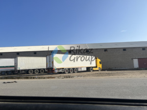 Rikaz Gomme arabique d'acacia de qualité supérieure-Additif alimentaire naturel pour applications agricoles - Product Image 4