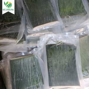 Hoja de Plátano Congelada Orgánica VIET THIEN PHU, Fruta Fresca Económica de Alta Calidad, Estilo Directo de Agricultura Vietnamita para Uso Industrial - Product Image 6
