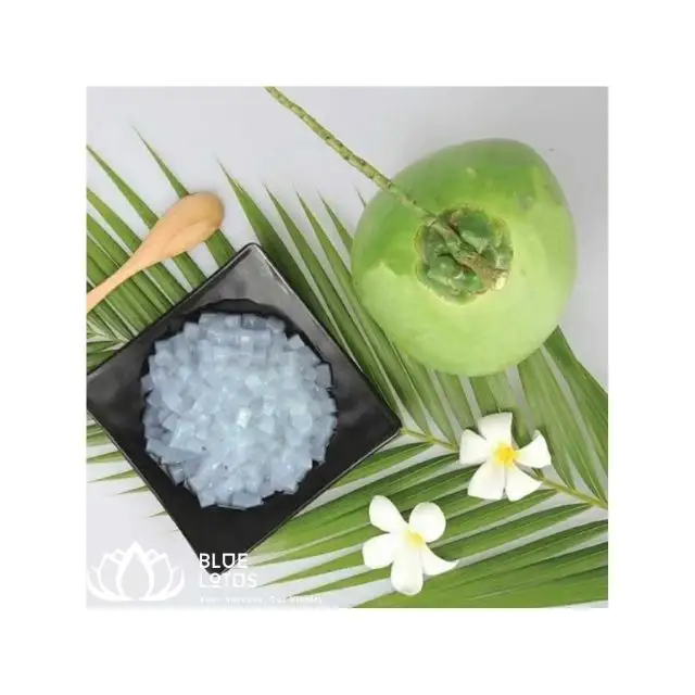 Hot Selling product Best Quality Nata De Coco Jelly In Syrup Coconut Jelly From Blue Lotus Farm Viet Nam