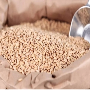 Grano de Cebada Rico en Proteínas, Alimento Saludable, Fuente Esencial de Energía, Cebada Superior para la Nutrición, Grano de Cebada Rico en Minerales - Product Image 3