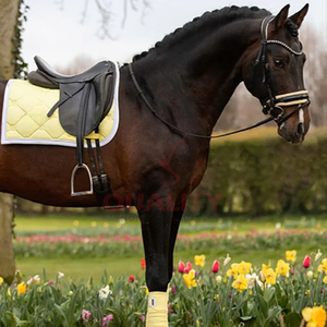 แผ่นรองอานม้าภาษาอังกฤษระบายอากาศได้ดีบุนวมนุ่มออกแบบทนทานเพื่อความสบายสูงสุดของม้าและประสิทธิภาพที่มั่นคง - Product Image 3