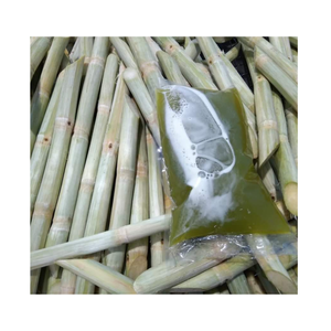 100% canne à sucre congelée naturelle, coupée à la taille, sans additifs, longue durée de conservation, adaptée aux supermarchés et aux fournisseurs de services alimentaires - Product Image 4