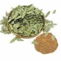 Herbe senna sennosides a b sennoside laxatifs senna feuilles extrait sennosides senna feuille extrait poudre