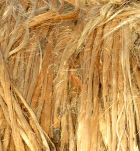 Yute Natural/No Procesado de Alta Calidad, Orientado a la Exportación, Transpirable, Ecológico, Antibacteriano, Excelente Finesura, Personalizado - Product Image 4