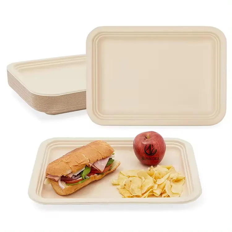 100% Sugarcane Bagasse Pulp Safe Environmentally Friendly Refrigerator Used Disposable Tray with Lid