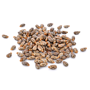 Haricots de ricin secs bruts biologiques de haute qualité pour usage alimentaire Offre Spéciale produits agricoles en vrac prix de gros fournisseur direct - Product Image 1