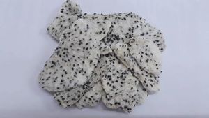 Approvisionnement en gros d'exportation de fruits du dragon séchés de qualité supérieure du Vietnam Idéal pour les détaillants d'aliments sains et les distributeurs en vrac - Product Image 5