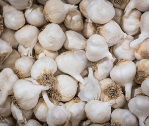 Ajo chino fresco Exportación al por mayor Precio preferencial y ajo fresco de alta calidad - Product Image 5