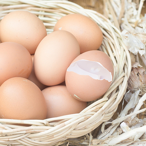 Trứng gà trắng và nâu tươi hữu cơ bàn gà trứng thụ tinh Trứng Nở - Product Image 6