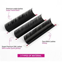 Extensiones de Pestañas de Seda en Bandejas, Rizadas BC, Súper Negras, Importadas de Corea, 100% Alta Calidad, Exportación a Todo el Mundo