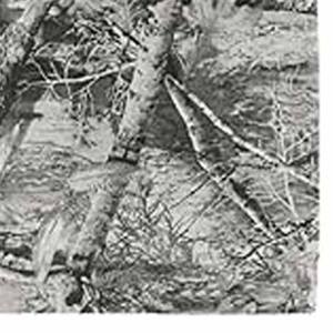 Offres Spéciales Nouveau Design Polo en Coton Meilleure Qualité Pakistan Made New Men T-shirt à Manches Courtes téléchargé par Dress Sports - Product Image 4