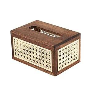 สีธรรมชาติ