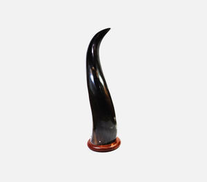 Escultura de Cuerno de Buey Natural Negro Pulido de Lujo sobre una Elegante Base de Madera, Trofeo Decorativo de Cuerno de Búfalo Hecho a Mano para Oficina - Product Image 6