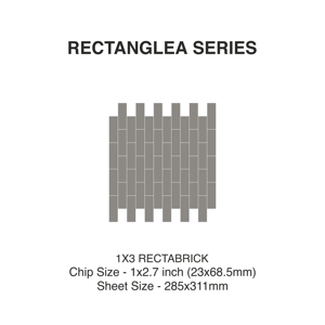 InspiredByStone Racta Bricks 1x2.7 Mosaïque vitrifiée du corps entier Solide et durable pour hôtel, cuisine, salle de bain, elevation283x305mm - Product Image 2