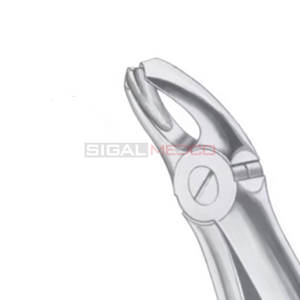 Fig. 18A Molaires supérieures Forceps d'extraction de dents de différentes tailles Instruments médicaux dentaires Prix de gros Fournisseur en vrac - Product Image 6