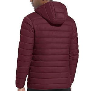 Veste d'hiver isolée légère et compressible pour hommes, manteau en duvet alternatif résistant à l'eau de haute qualité - Product Image 2