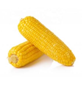 Maïs sucré en conserve de qualité supérieure, produit en 2024, avec un prix raisonnable et une capacité de 2650 ml pour les conserves de maïs aux fruits - Product Image 3