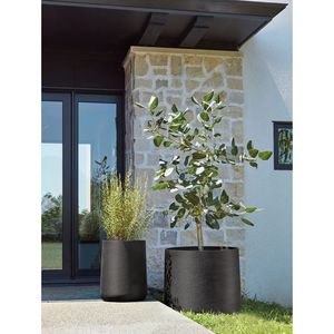 Macetas de diseño de Metal de calidad de lujo personalizadas con soporte decorativo para decoración interior o exterior macetas recubiertas de polvo de hierro - Product Image 5